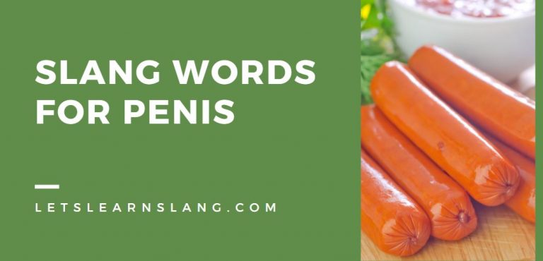 Other Words For Dick