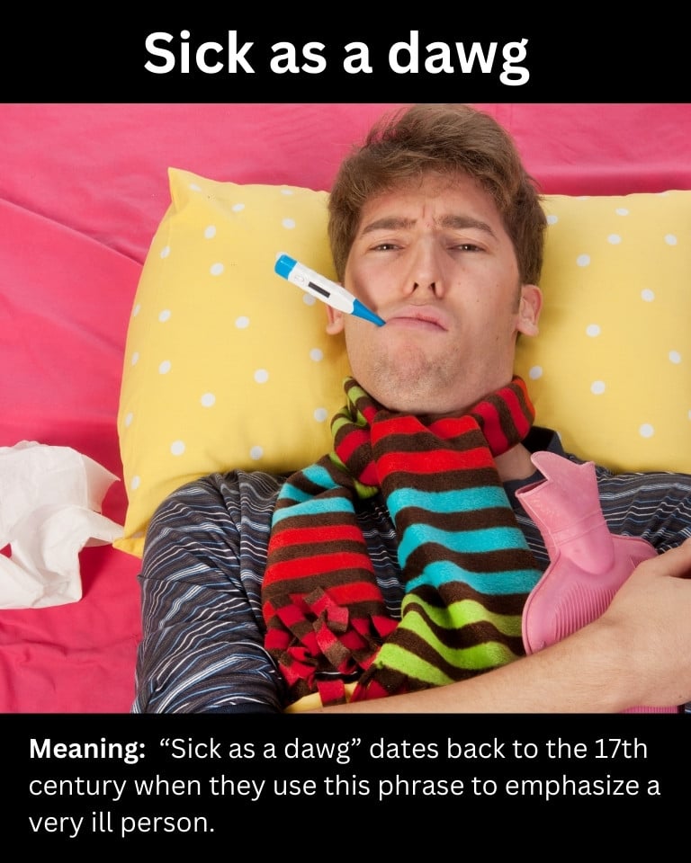 Sick as a dawg