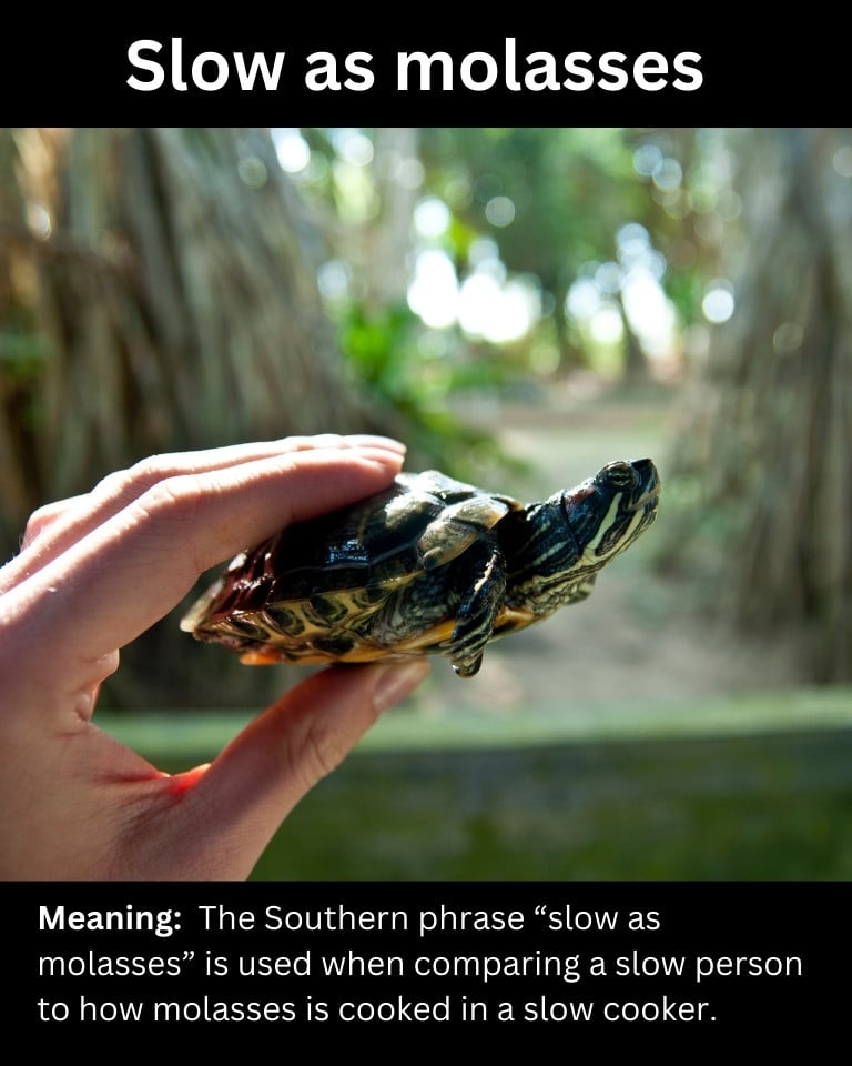 Slow as molasses