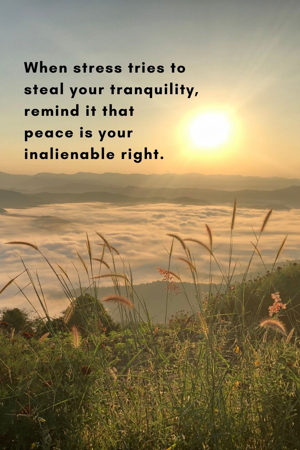 When stress tries to steal your tranquility, remind it that peace is your inalienable right.