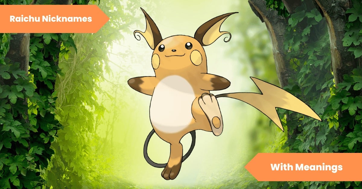 Raichu Nicknames