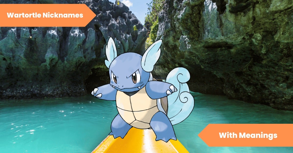 Wartortle Nicknames