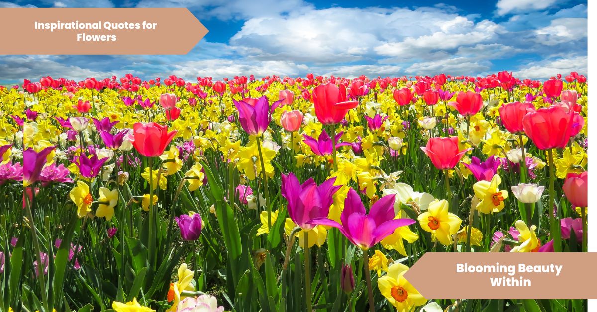 Inspirational Quotes for Flowers Blooming Beauty Within