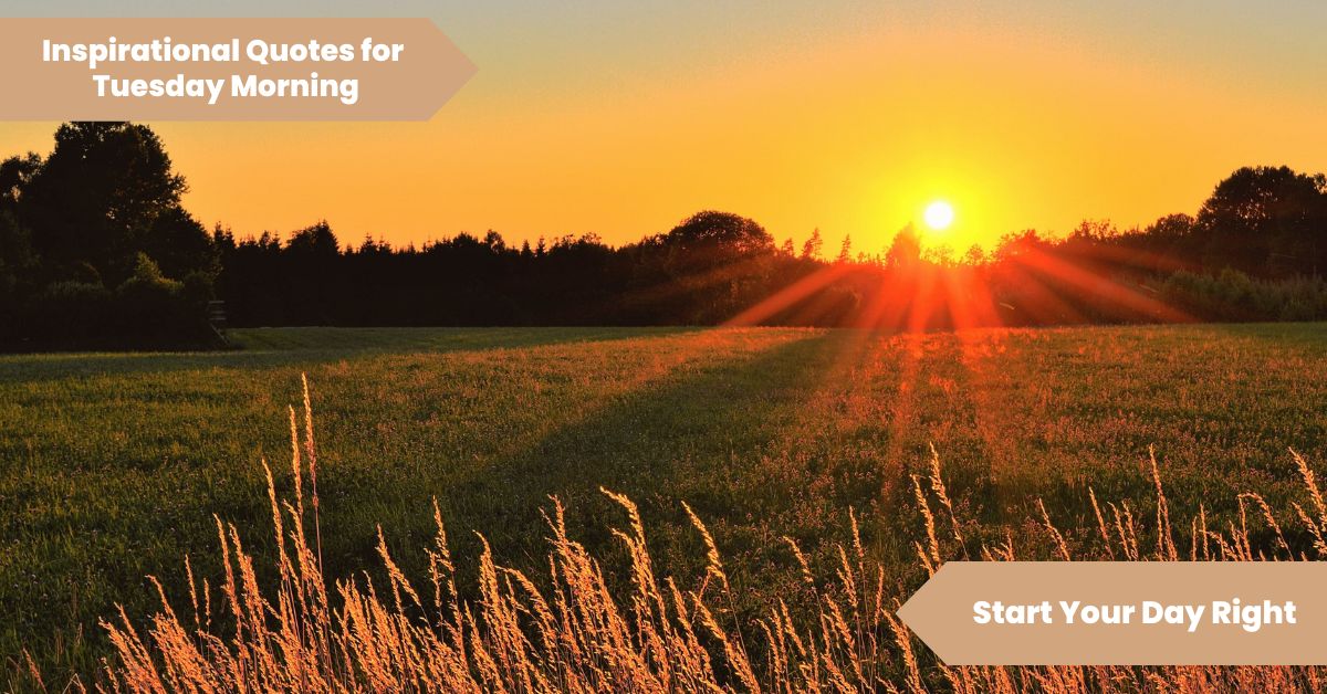 Inspirational Quotes for a Tuesday Morning Start Your Day Right