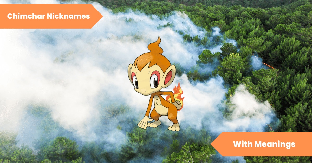 Chimchar Nicknames