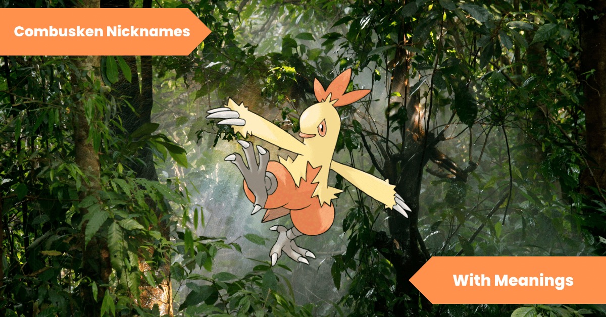 Combusken Nicknames
