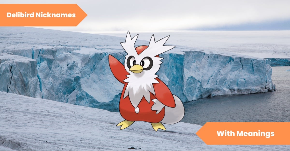 Delibird Nicknames
