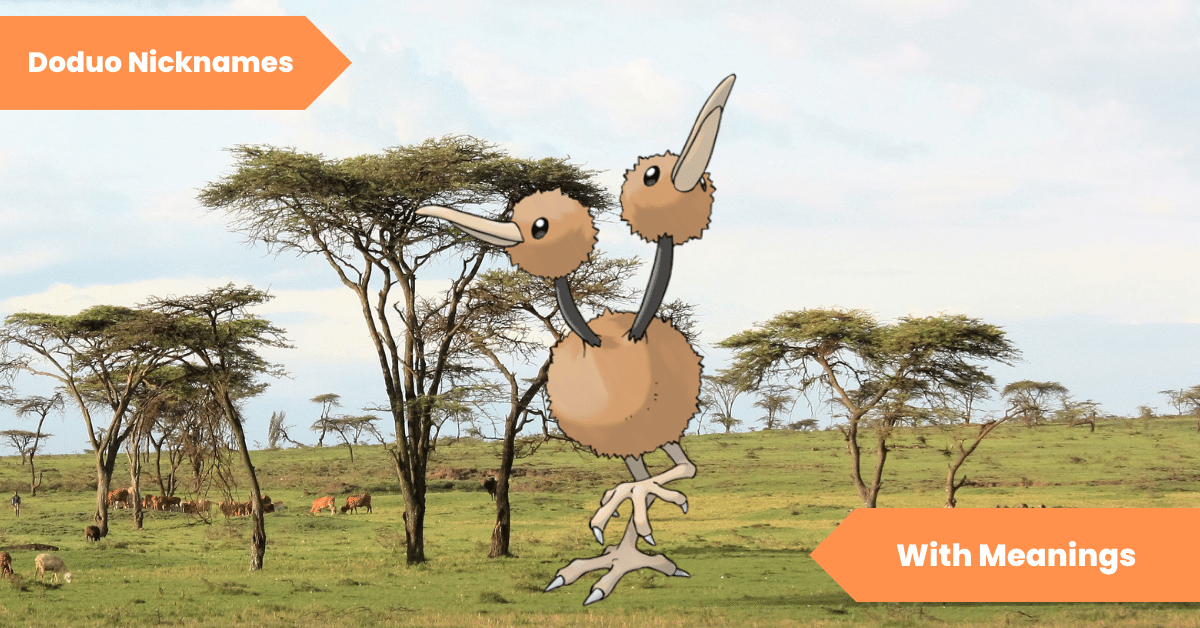 Doduo Nicknames