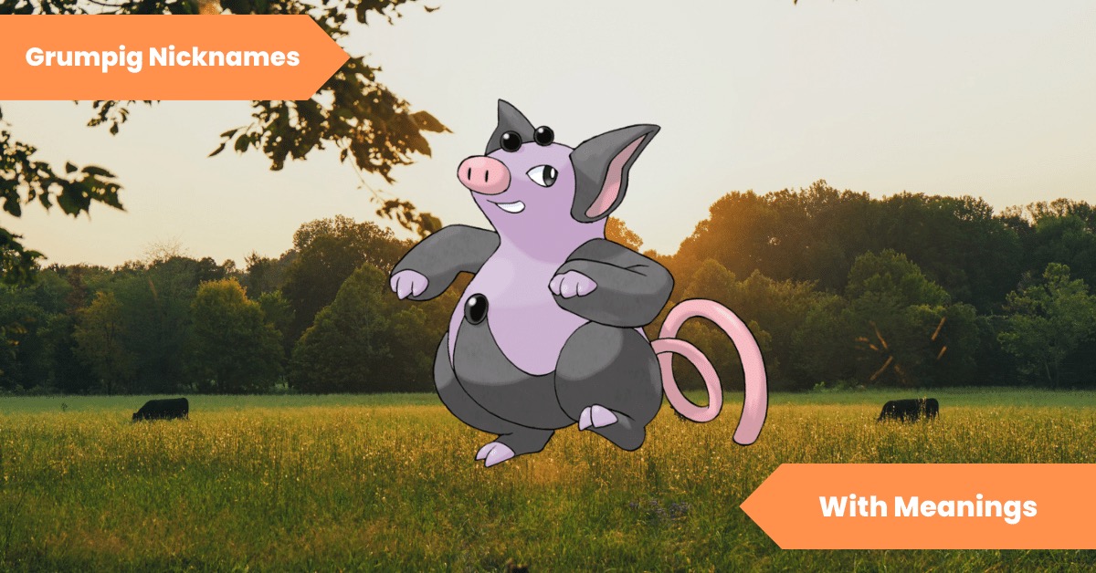 Grumpig Nicknames