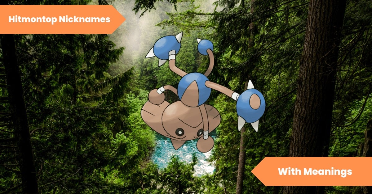 Hitmontop Nicknames