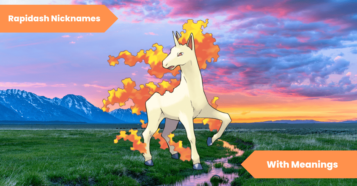 Rapidash Nicknames