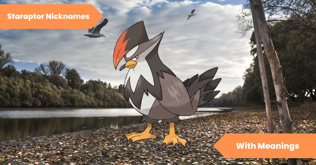 Staraptor Nicknames