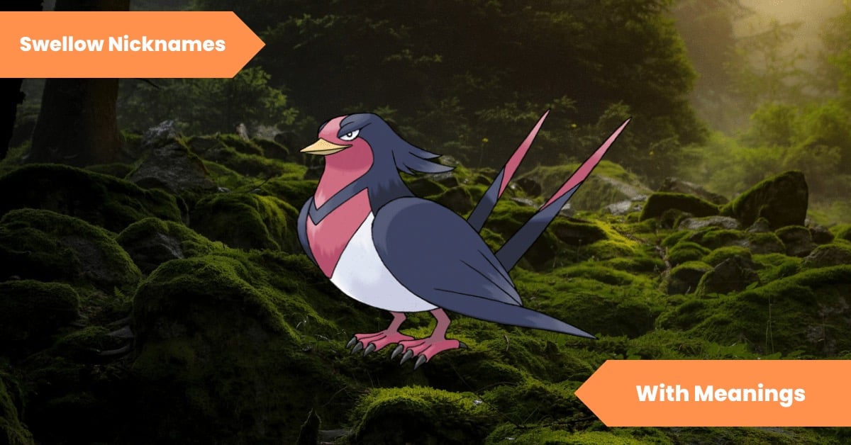 Swellow Nicknames