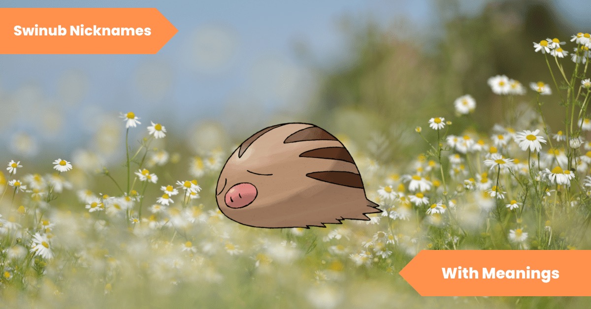 Swinub Nicknames
