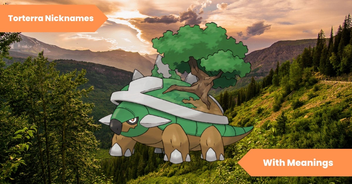 Torterra Nicknames