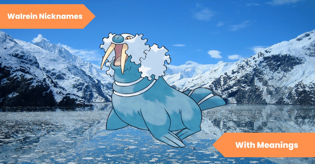 Walrein Nicknames