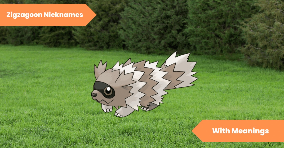 Zigzagoon Nicknames