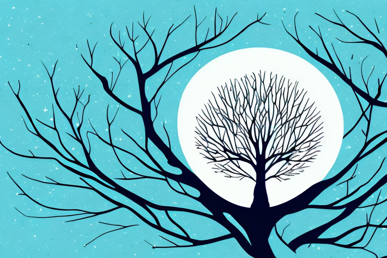 Dreaming About Owls Here’s What It Means Lets Learn Slang