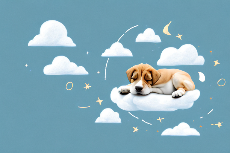 A sleeping puppy surrounded by dreamy clouds
