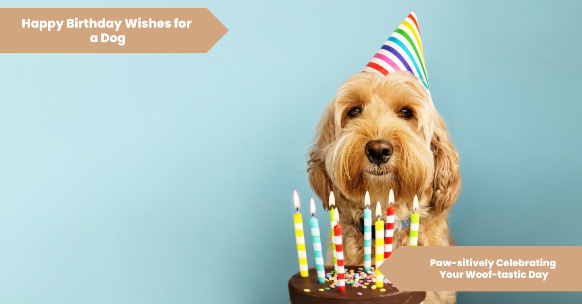 101 Happy Birthday Wishes for a Dog_ Paw-sitively Celebrating Your Woof-tastic Day