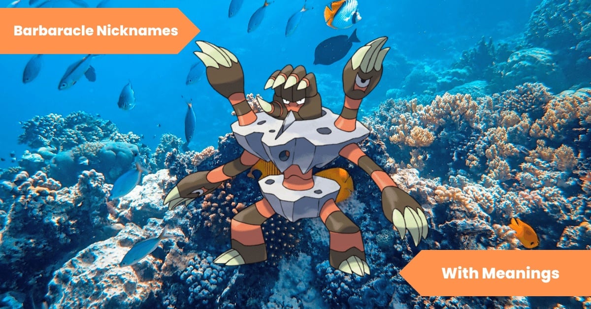 Barbaracle Nicknames