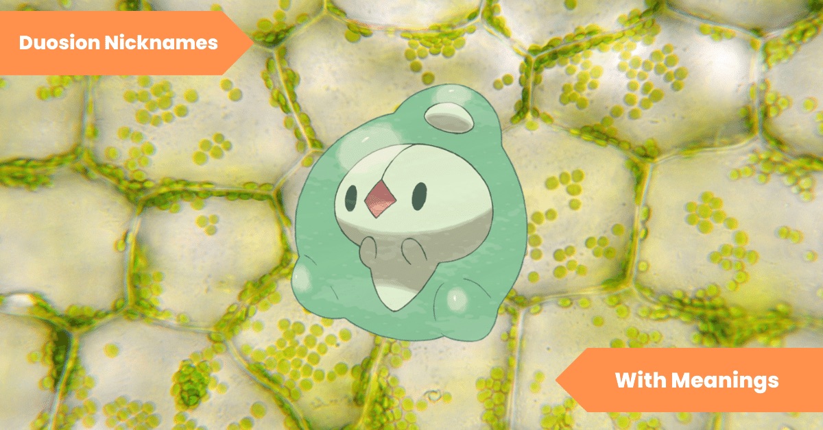 Duosion Nicknames