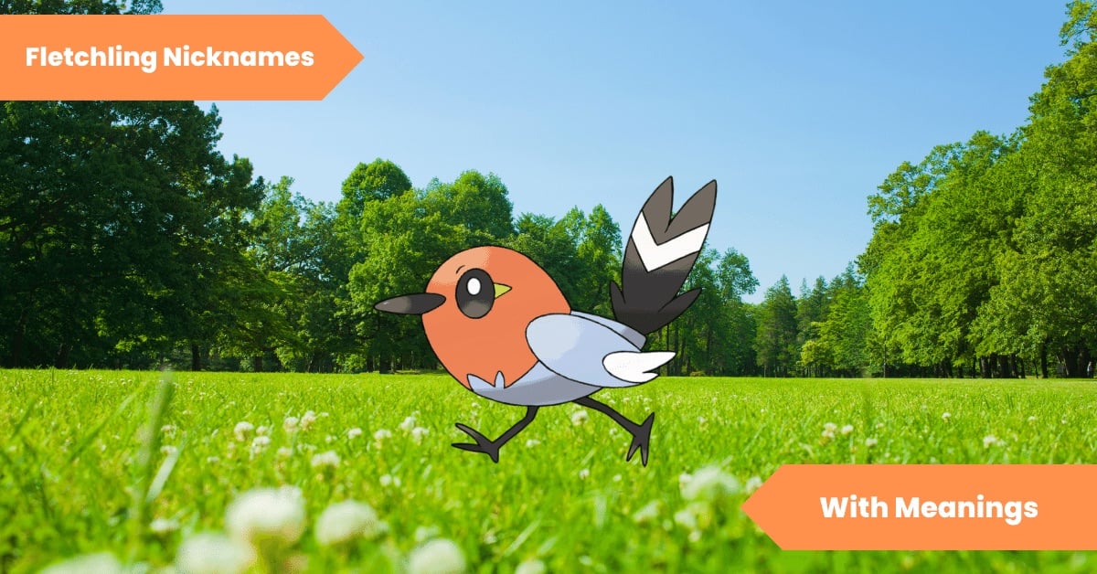 Fletchling Nicknames