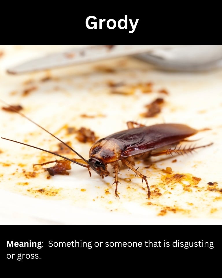 Grody