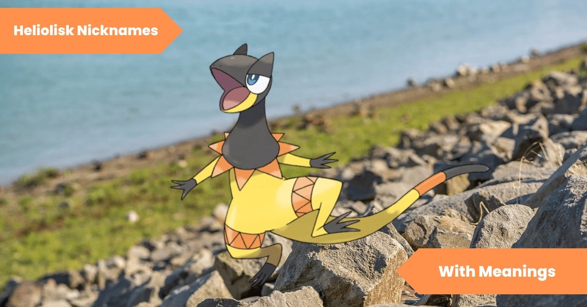 Heliolisk Nicknames
