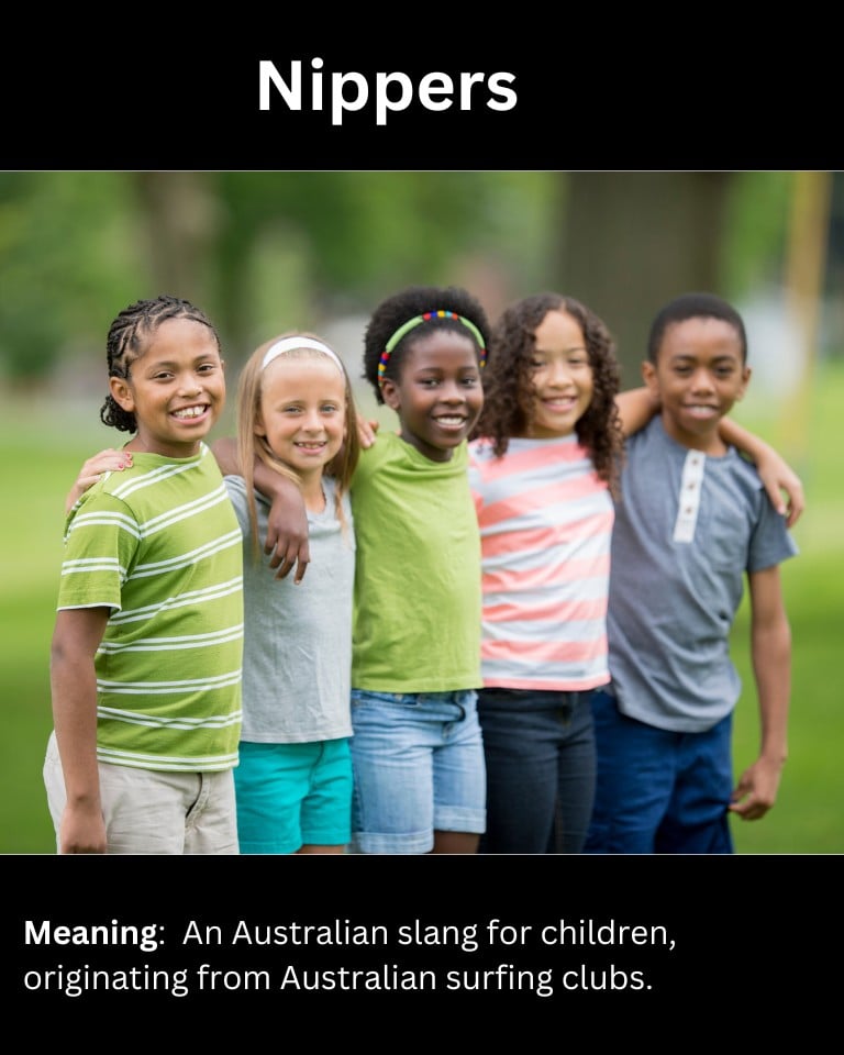 Nippers