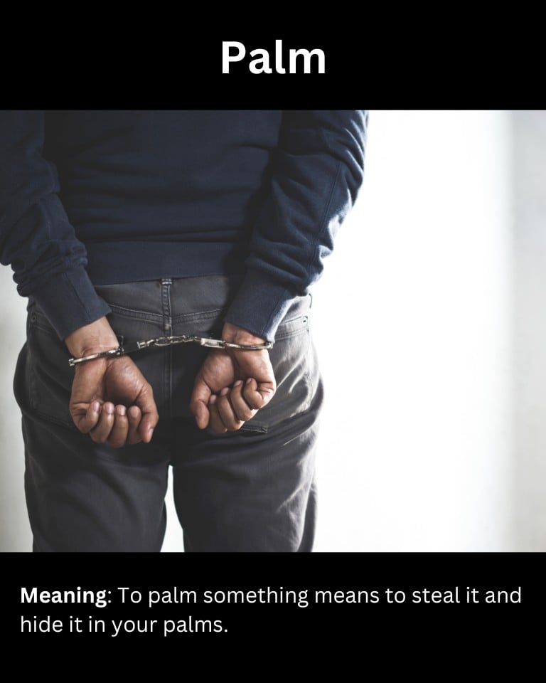 Palm Palm
