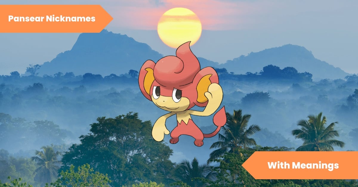 Pansear Nicknames
