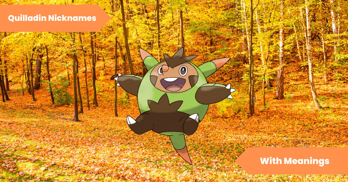 Quilladin Nicknames