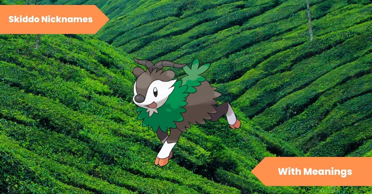 Skiddo Nicknames