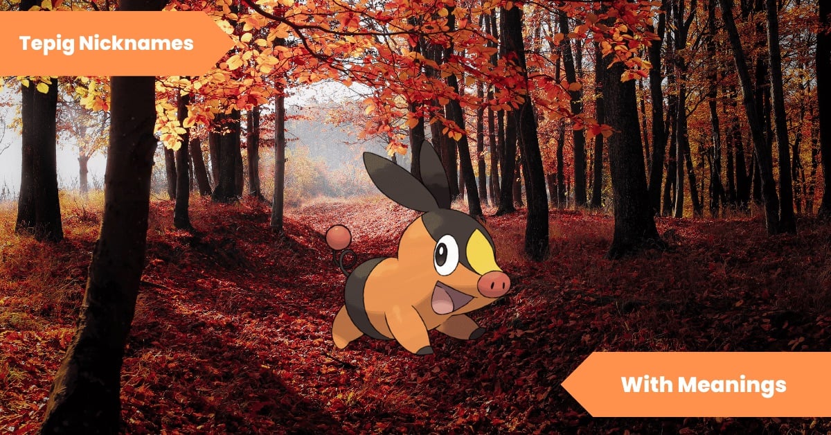 Tepig Nicknames