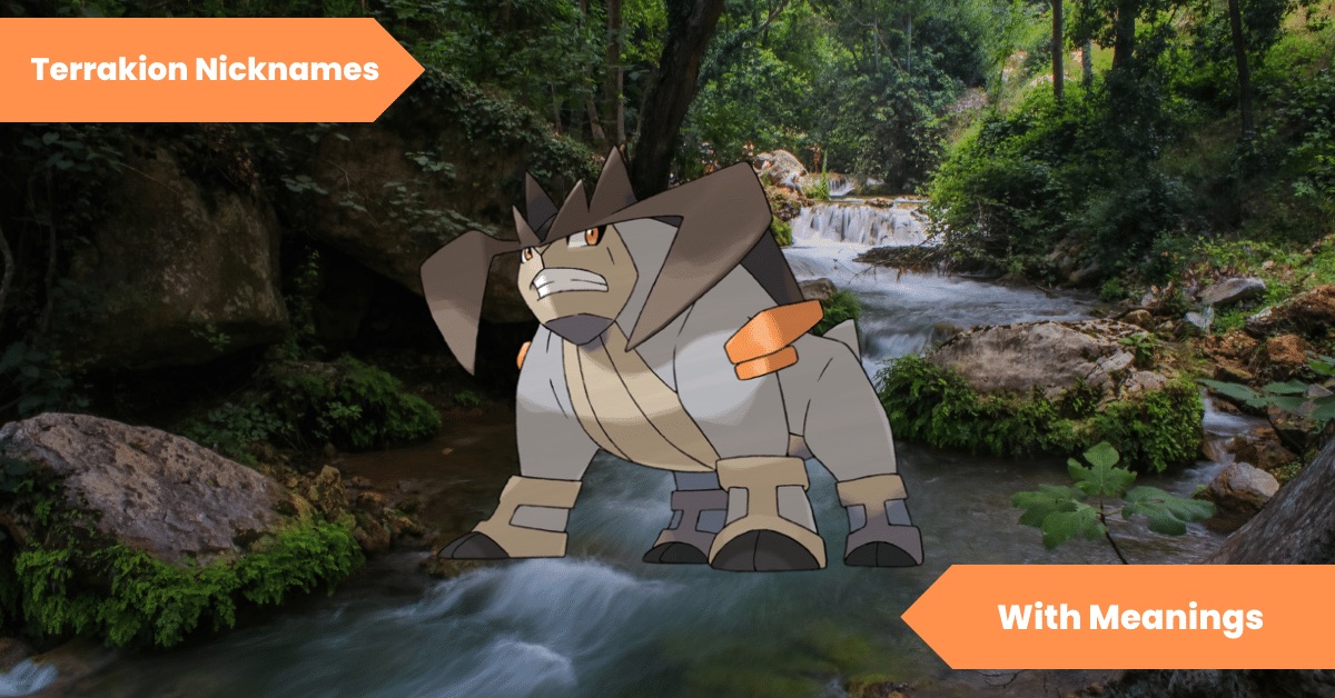 Terrakion Nicknames