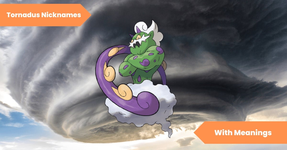 Tornadus Nicknames