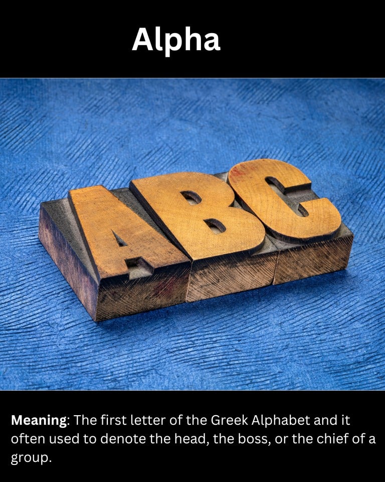 Alpha Alpha