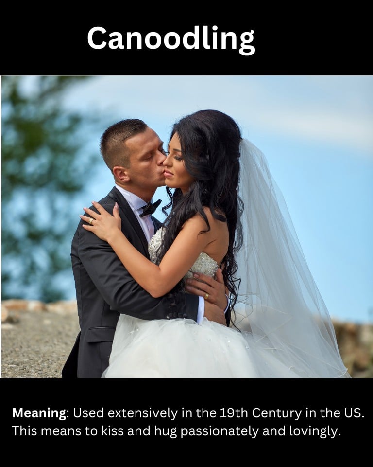 Canoodling Canoodling