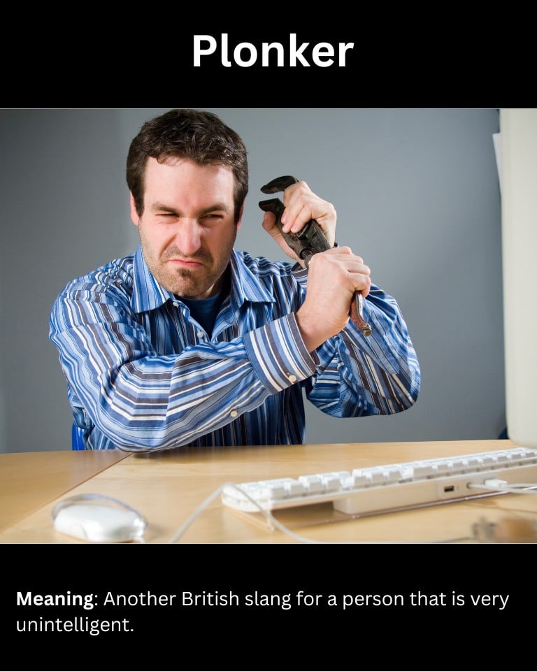 Plonker Plonker