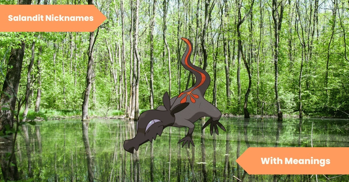 Salandit Nicknames