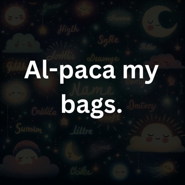 Al-paca my bags