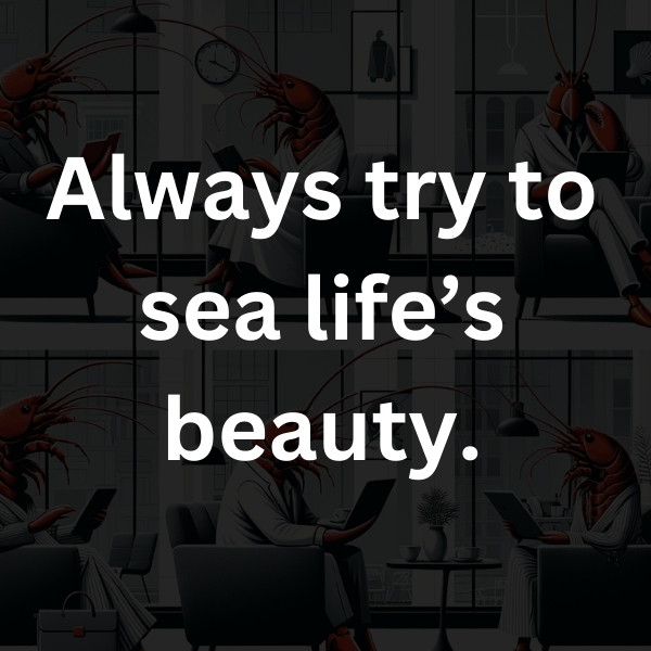 Always try to sea life’s beauty