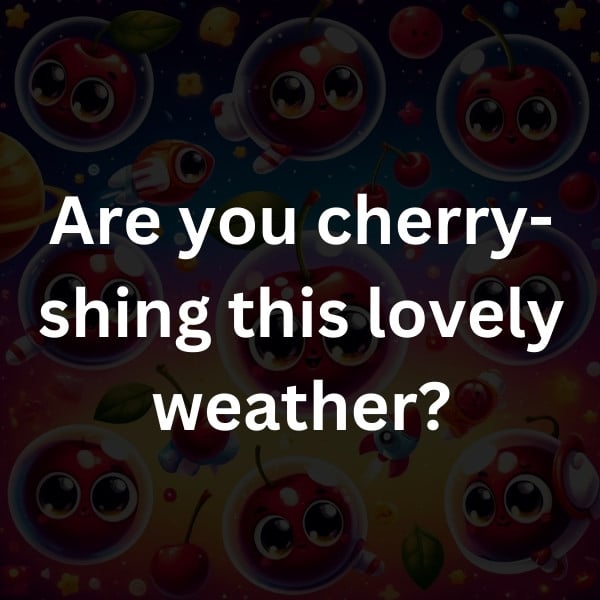 Are you cherry-shing this lovely weather
