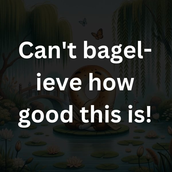 Can't bagel-ieve how good this is!