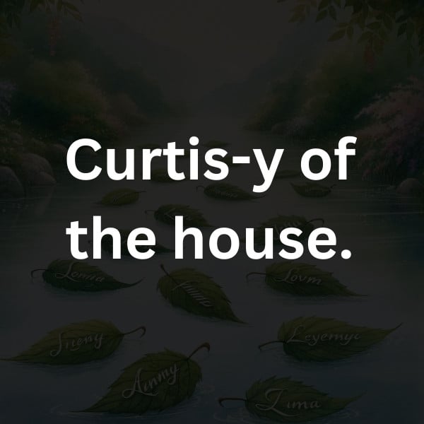 Curtis-y of the house