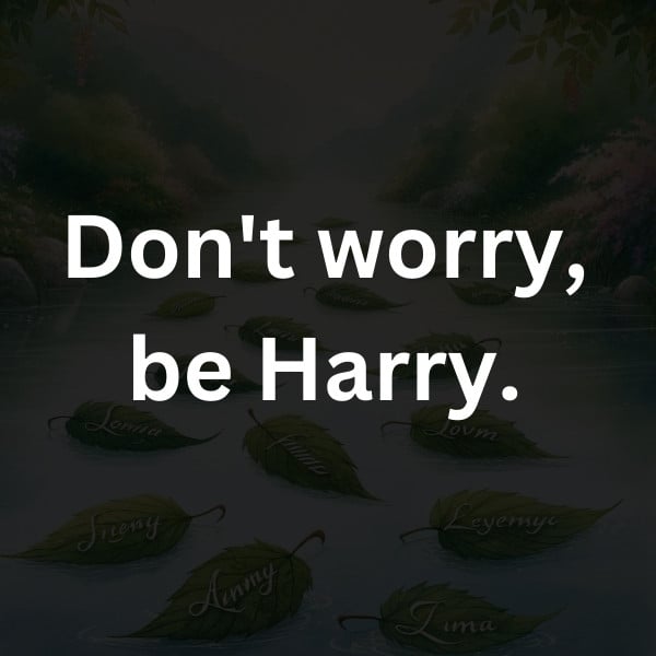Don't worry, be Harry