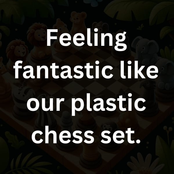 Feeling fantastic like our plastic chess set