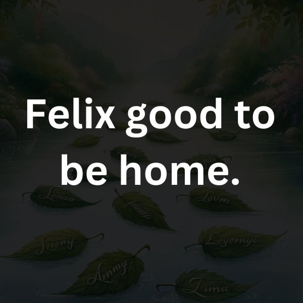 Felix good to be home