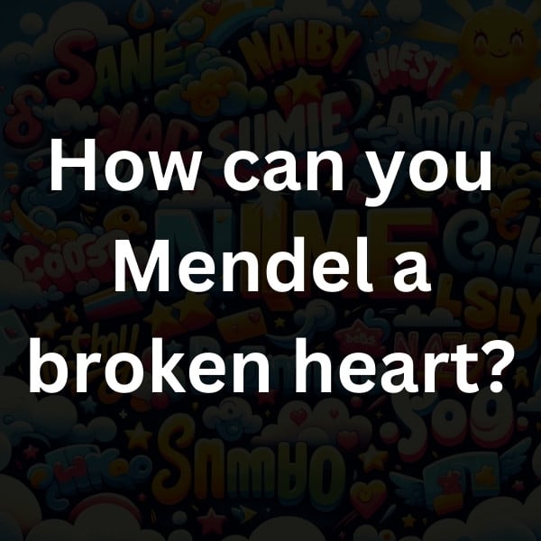 How can you Mendel a broken heart